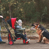 Folding Stroller